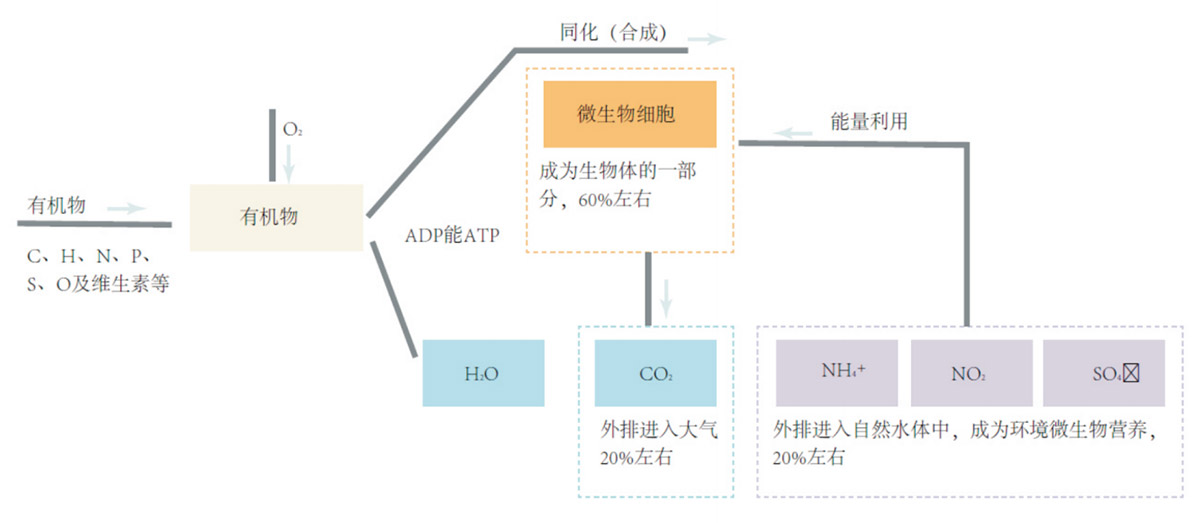 箱式生物法废气处理装置